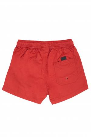 COSTUME BEAR  BB636S24 SCARLET SAGE-1-mini